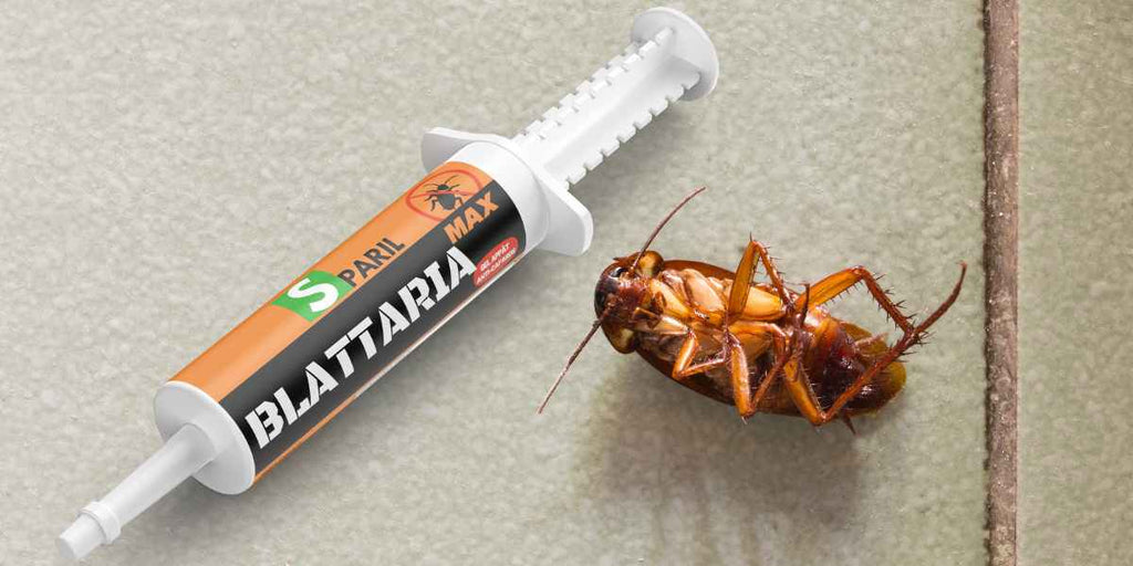 Gel anti cafard professionnel : fonctionnement et utilisation