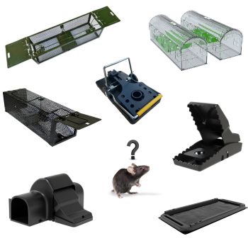 QUEL EST LE  MEILLEUR PIÈGE À RAT ET À SOURIS ?