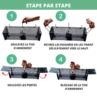 Cage piège à rat double entrée