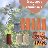 7x blocs de bois de cèdre - Répulsif anti-mites organique naturel pour la  garde-robe - Répulsif anti-mites durable et sans produits chimiques contre  les mites des vêtements - Piège à mites