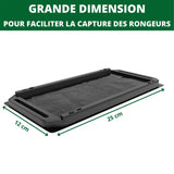 Plaques de glu pour souris et rats