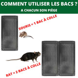 Plaques de glu pour souris et rats