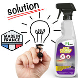 Spray Insecticide Anti Poisson d'argent et araignée 500 Ml.