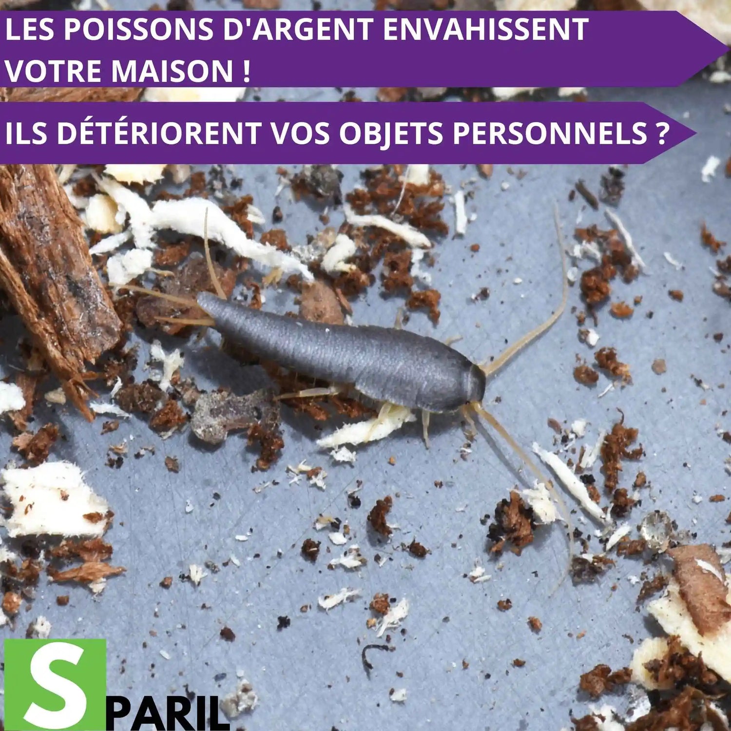 Spray Anti Poisson d'Argent & Araignées 500ml
