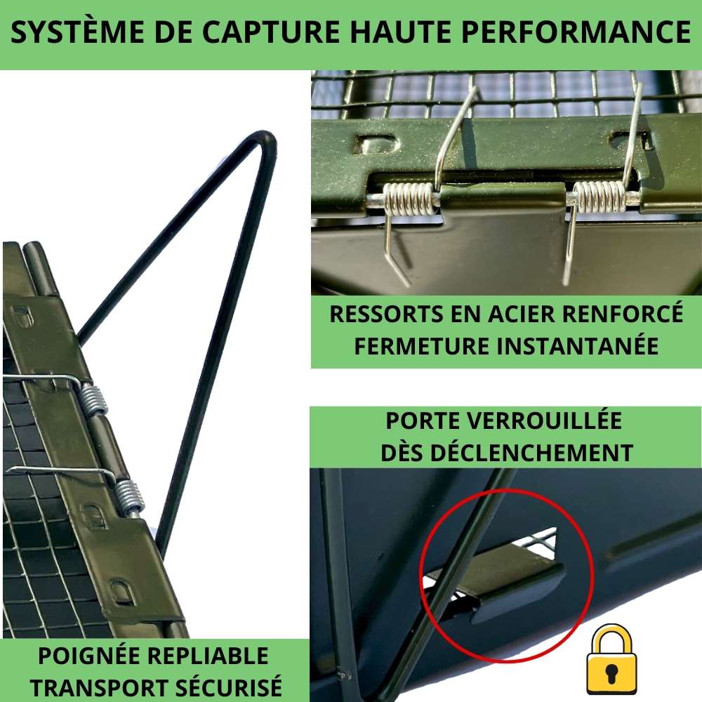 Nasse à rat SPARIL : ressorts acier renforcé, porte verrouillée, poignée repliable