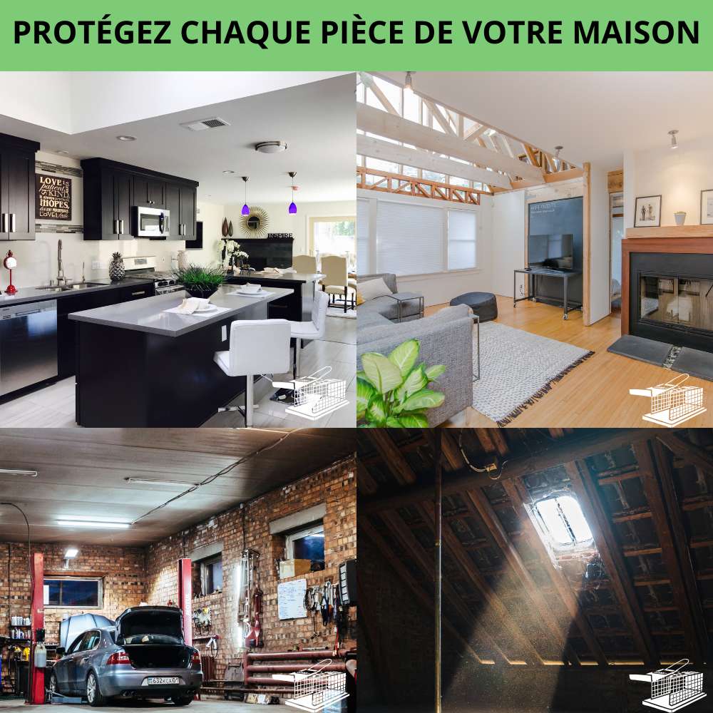 Nasse à rat SPARIL utilisable en cuisine, salon, garage et grenier