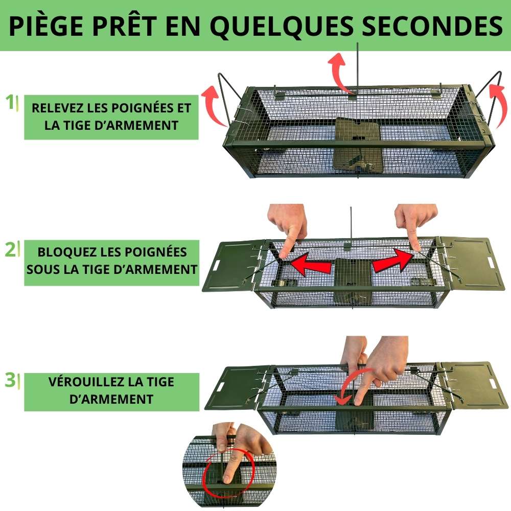 Mode d'emploi nasse à rat SPARIL en 3 étapes : relever, bloquer, verrouiller