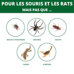 Piège à glu SPARIL pour souris, rats, mouches, araignées, insectes
