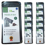 Piège à glu souris et rats SPARIL lot de 2 plaques collantes

