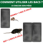 Comment utiliser le piège à glu : 1 bac pour souris, 2 bacs pour rat

