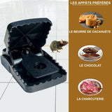 Appâts efficaces pour piège à rat : beurre de cacahuète, chocolat, charcuterie