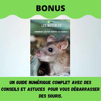 Bonus piège à souris SPARIL : ebook guide numérique anti-souris

