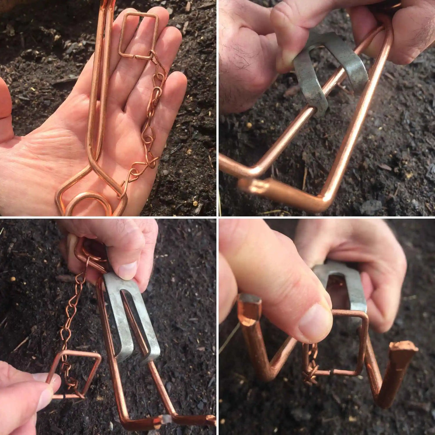 Mode d'emploi piège à taupe Putange : installation en 4 étapes dans la galerie