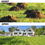 Résultat piège à taupe : avant avec taupinières, après pelouse impeccable