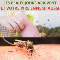 Les beaux jours arrivent et les moustiques aussi

